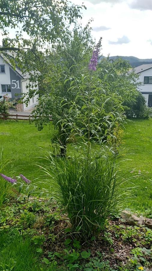 Ferienwohnung Vreni غيرسفلد المظهر الخارجي الصورة